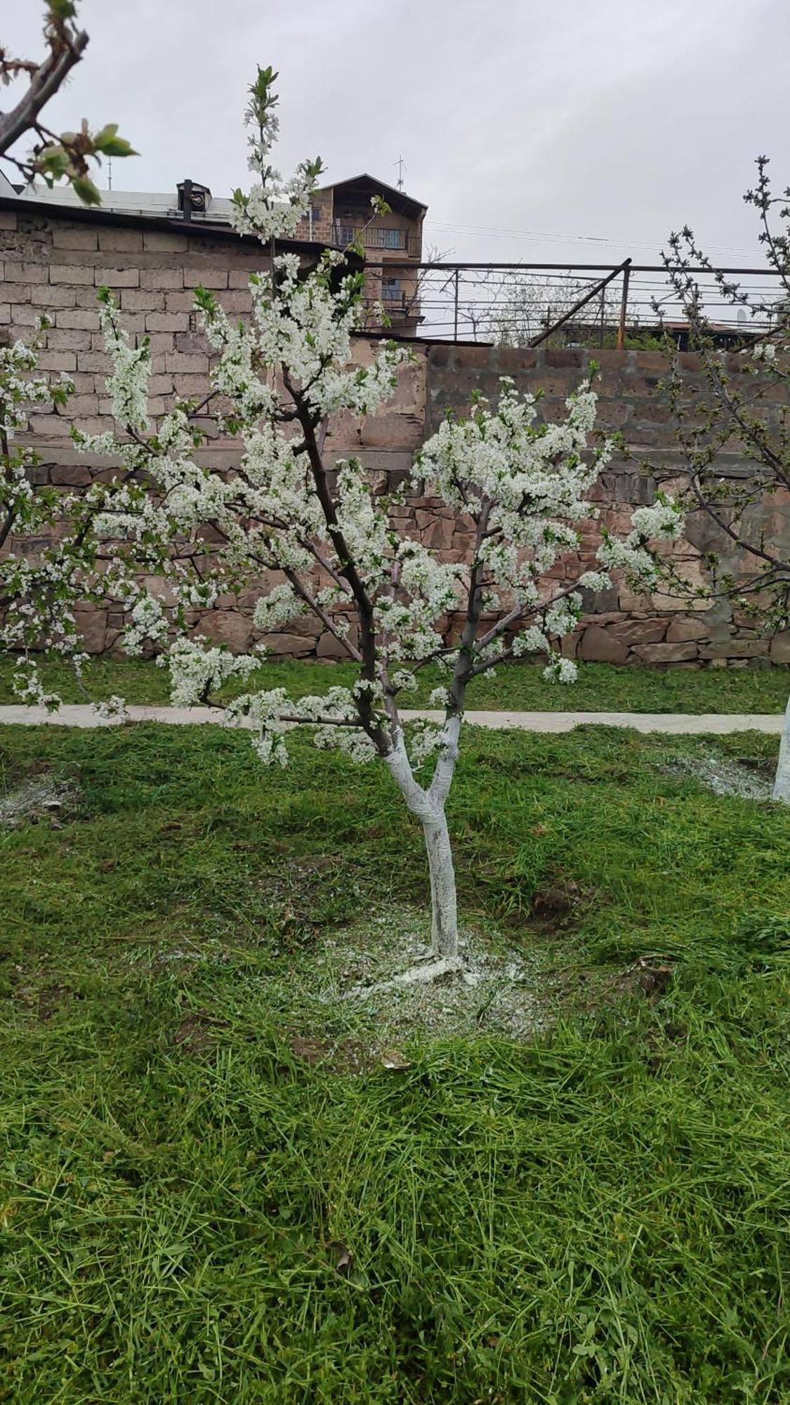 Bonjour House Otel Erivan Dış mekan fotoğraf